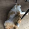 今井_写真