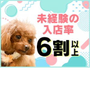 未経験特集_ポイント1_12271