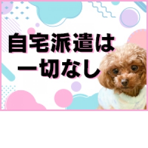 未経験特集_ポイント2_12271