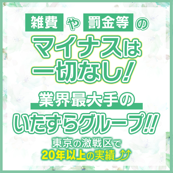 全裸コレクションor妄想痴漢電車_店舗イメージ写真3