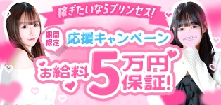 プリンセスセレクション谷九・日本橋店