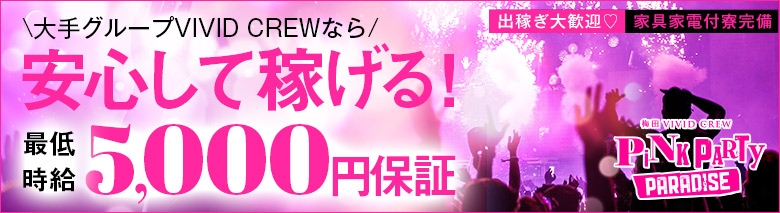 VIVID CREW Pink Party Paradaice