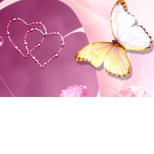 未経験特集_ポイント3_13235