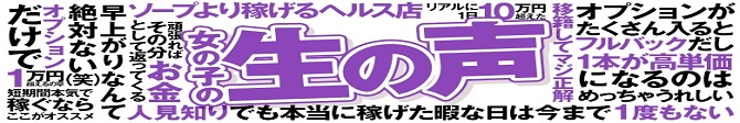 あ～イク 恋愛生 欲情の扉_PC版広告枠2