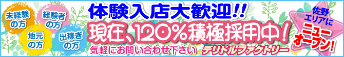 デリドルファクトリー_PC版広告枠2