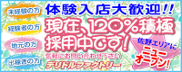 デリドルファクトリー_PC版広告枠